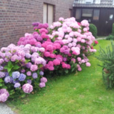 波特舍夫公寓 克雷费尔德 外观 照片